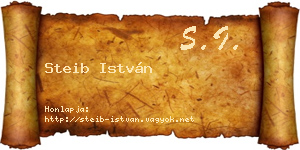 Steib István névjegykártya